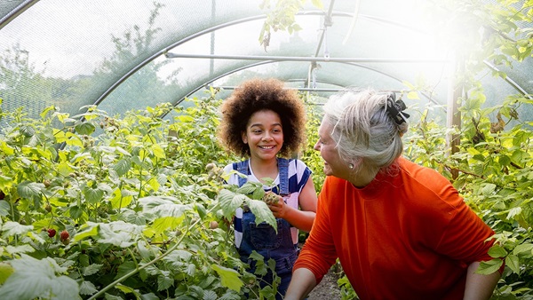 A senior woman and young girl help out in the greenhouse at the local farm.