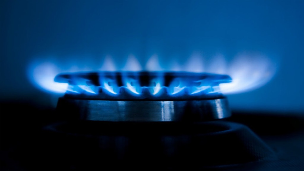 Gas appliance flame